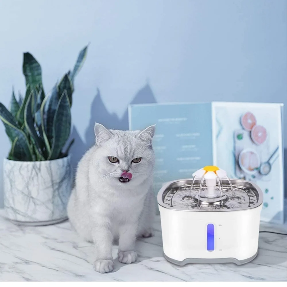 6 pack &2 pre filter sponge for automatic pet fountain water cat